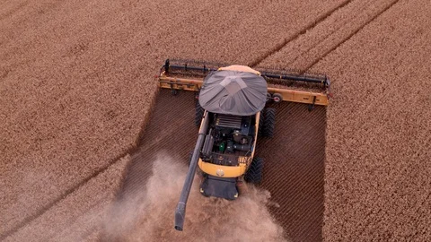 Combine Harvesting Wheat Stock Footage 106238667