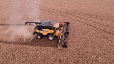 Combine Harvesting Wheat Stock Footage 106238933