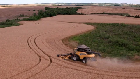 Combine Harvesting Wheat Stock Footage 106244403