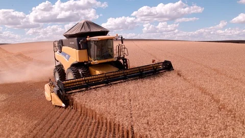 Combine Harvesting Wheat Stock Footage 106245269