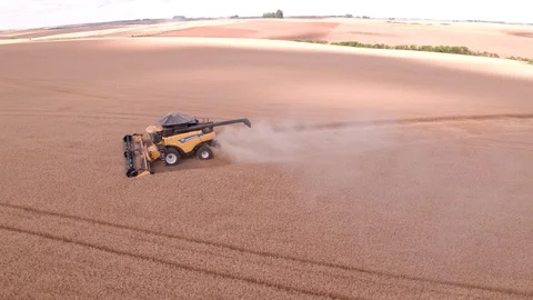 Combine Harvesting Wheat 스톡 동영상 106247425