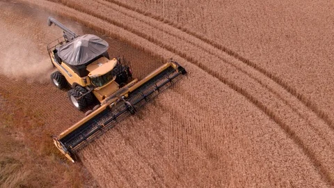 Combine Harvesting Wheat Stock Footage 106249779