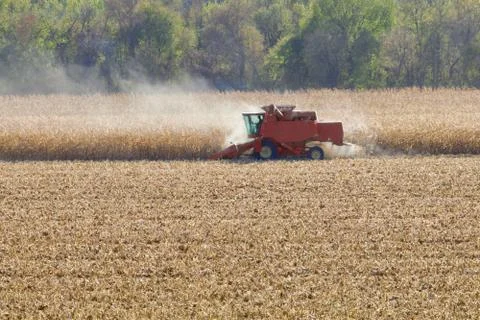 A combine harvests corn producing dense dust clouds. Stock Photos