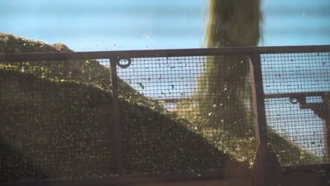 A combine harvests a crop of corn. Unloading corn. cab combine Stock Footage 249903183