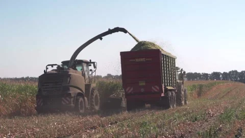A combine harvests a crop of corn. Unloading corn into a truck. Stock Footage 250272604