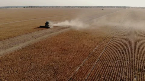 A combine harvests crop in field. 스톡 동영상 148149676
