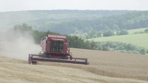 Combine harvests Video stock 112778833