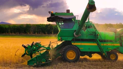 The combine harvests ripe wheat during sunset in the occupied territories of Stock Footage 239128692