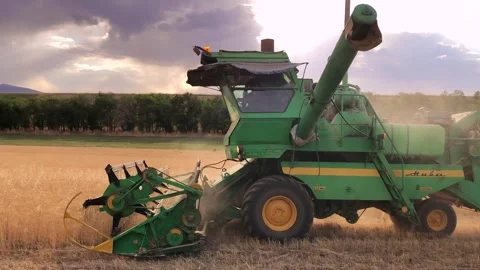 The combine harvests ripe wheat during sunset in the occupied territories of Stock Footage 240494829