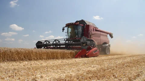 Combine harvests wheat on a field Stock Footage 24607328