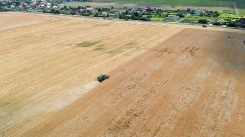 Combine harvests wheat Stock Footage 147464634