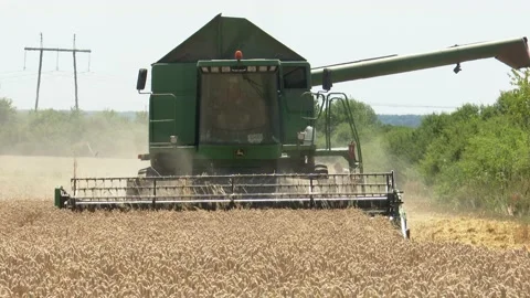 The combine harvests wheat in the summer Stock Footage 201496220