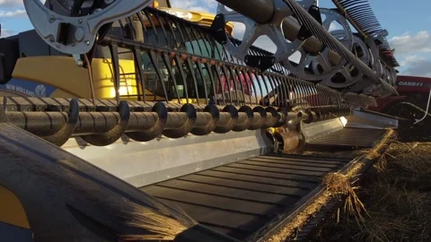 Combine header adjusted to being harvesting a barley field. Stock Footage 251562958