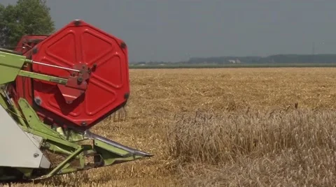 Combine header harvesting wheat Stock-Footage 54613501
