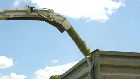 Combine loading silage into trailer truck Stock Footage 138553087