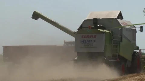 Combine loading wheat into the trailer Stock-Footage 56029878