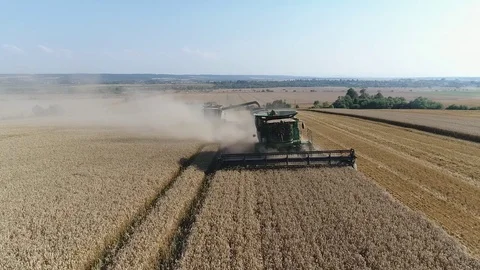 The combine loads the crop in the field on the tractor Stock Footage 81947202