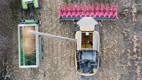 The combine loads the tractor trailer with grain Stock Footage 165702400