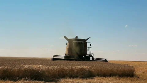 Combine machine on farm field. Stock Footage 102169503