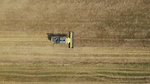 Combine Machine Harvesting Ripe Wheat In Rural Field At Sunset Aerial View Stock Footage 132811393