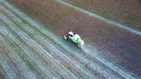Combine machine working on a field. Aerial view Video stock 104115336