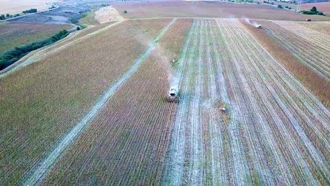 Combine machine working on a field. Aerial view Video stock 104115353