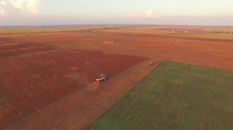 Combine Moving At Golden Field While Harvesting Stock-Footage 53763570
