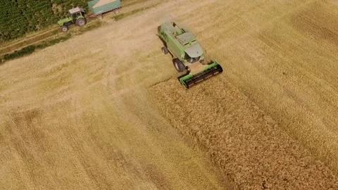 Combine mowing barley2 Stock Footage 158063324
