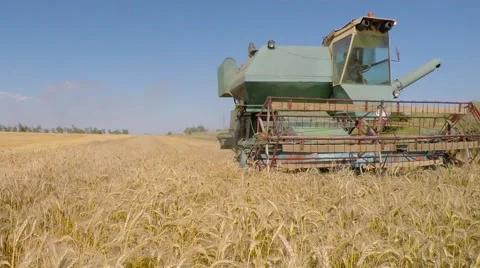 The combine mows wheat. Eastern Ukraine. 库存影片 52465815