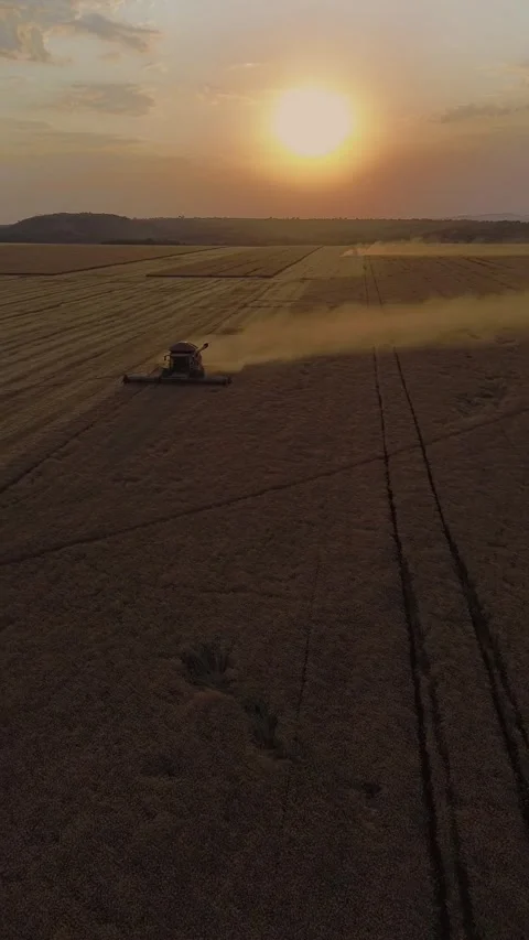 Combine operating from an aerial perspective during golden hour, diligently 스톡 동영상 332889225