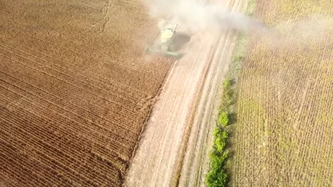 Combine picking soybeans Stock Footage 250614382