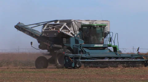 Combine picks up peanuts from the ground Stock Footage 32283426