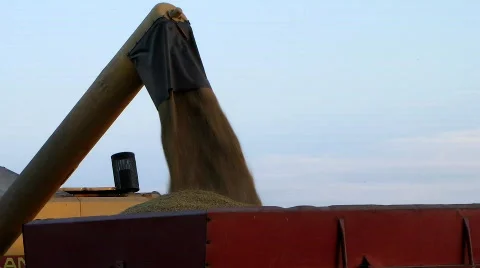 Combine pouring Stock Footage 775811