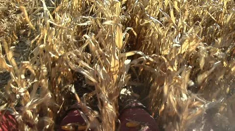 Combine POV 스톡 동영상 12282910