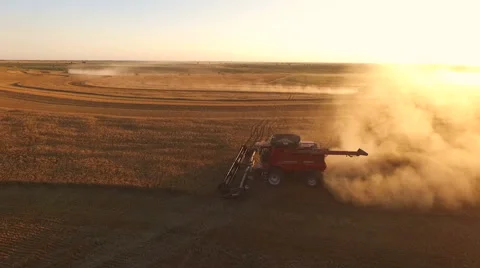 Combine puts out Clouds of Dust during Beautiful Sunset Harvest Vídeo Stock 61741305