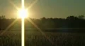 Combine Silhouette At Sunset HD Footage