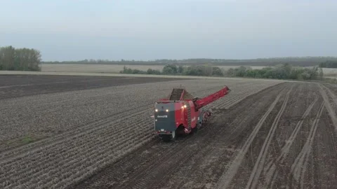 Combine stands in a field with potatoes in cloudy weather Stock Footage 141798005