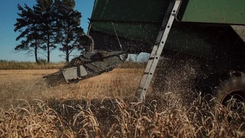 Combine straw chopper 스톡 동영상 98127411