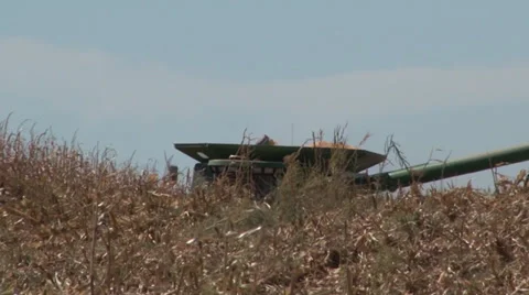 Combine &amp; Tractor Stock Footage 36568028