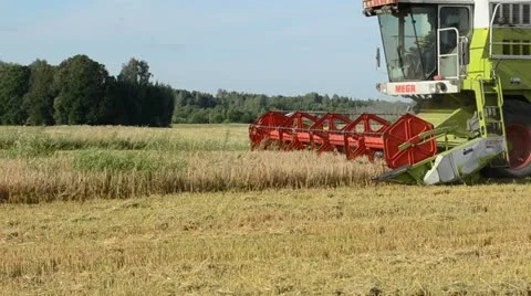 Combine tractor machine harvest wheat agriculture field Stock Footage 14182986