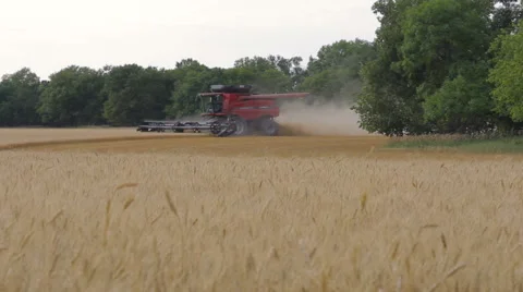 Combine Turns Corner while Harvesting Wheat Vídeo Stock 61741874