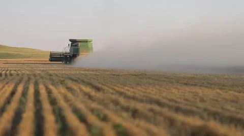 Combine Turns while Cutting Wheat Vídeo Stock 60062085