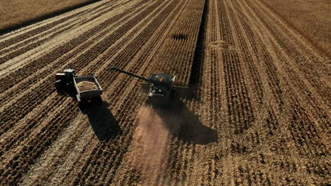 Combine Unloaading Corn from high angle Video stock 272178186