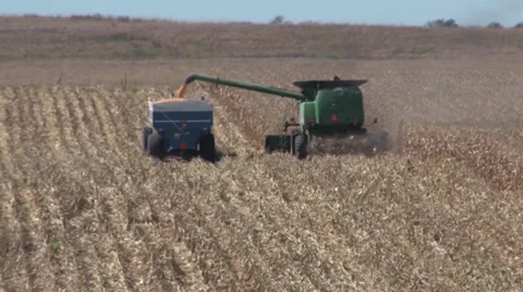 Combine Unloading Corn Stock Footage 36573189