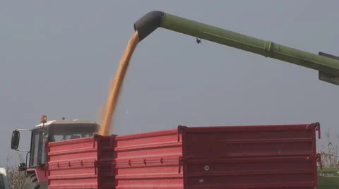 Combine Unloading Corn Stock Footage 60608044