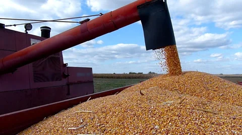 Combine unloading corn, slow motion Stock Footage 30582398