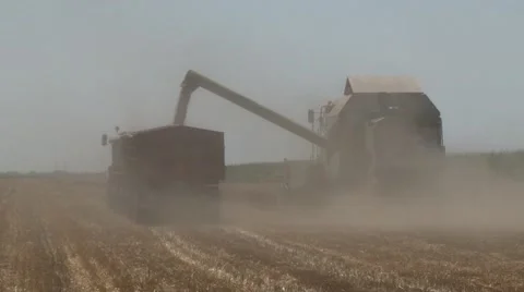 Combine unloading grain and raises dust Vídeo Stock 56029984