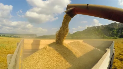 Combine Unloading Grains Into Trailer Stock Footage 140281227