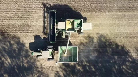 Combine unloading soybeans into hopper Stock Footage 248645068