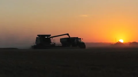 Combine Unloading at Sunset Vídeo Stock 60062073
